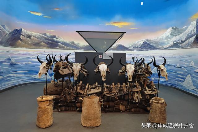 拉萨市：参观西藏牦牛博物馆