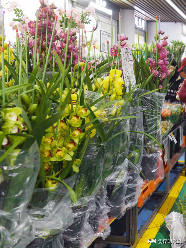 假期最后一天，留给斗南！好吗？把新年浪漫打包回家！