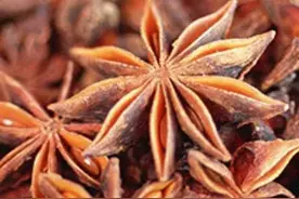 一篇短文搞懂甲流特效药与八角的关系；吃八角真的可以预防甲流？图片