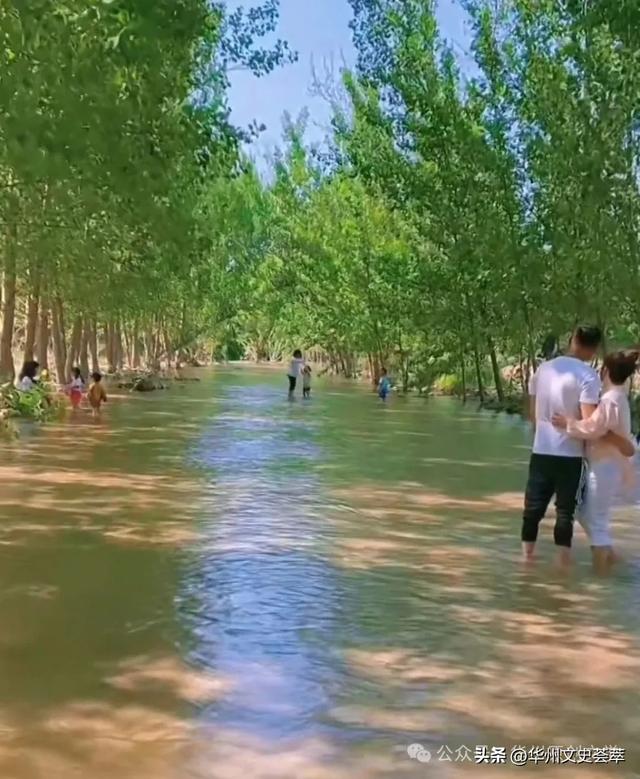 华州桥上桥网红乘凉地今安在？
