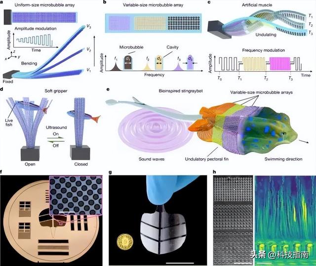 AI 学会人类动作 新型人工肌肉问世：100ms 响应，可助中风患者康复