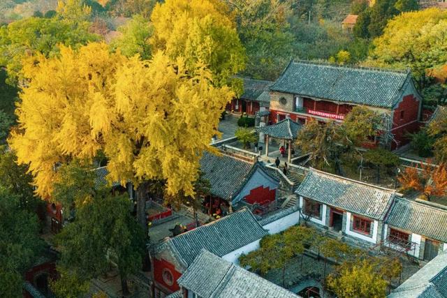 高铁直达！我猜每一个来这的人都需要这份攻略...