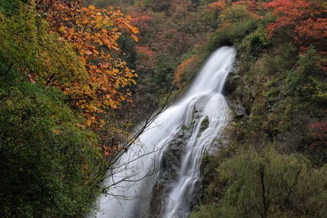 这才是秋天该有的样子~