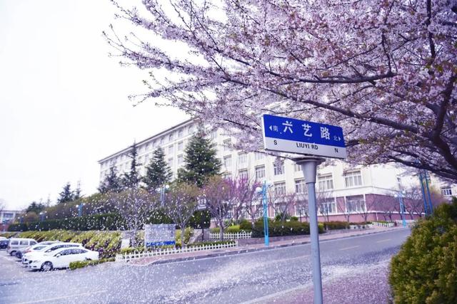 黄海“网红”打卡地盘点！第七个美到“窒息”！