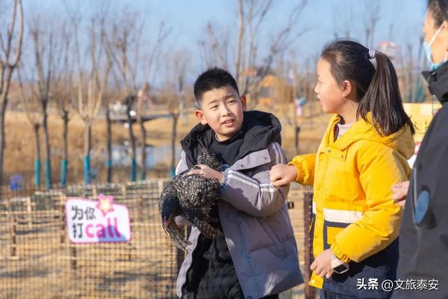 开年遛娃首选！东平湖流浪水世界暖冬亲子奇遇季，全家欢乐新去处！