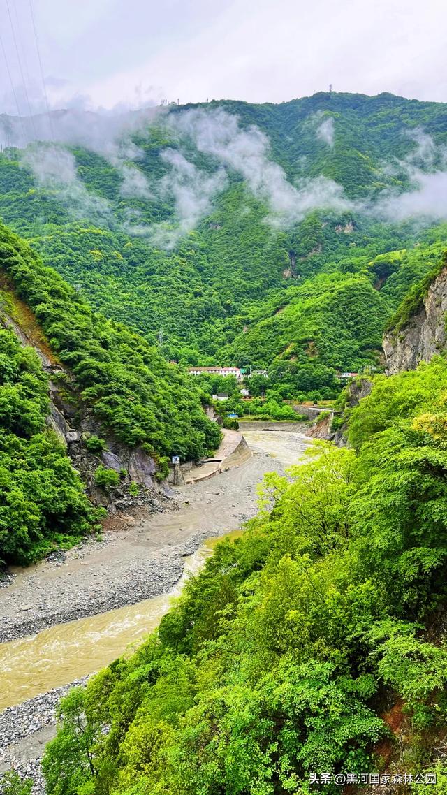 高温别怕！进山纳凉来黑河，山水环绕凉快极了！