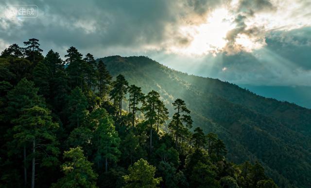 两性关系，女生发“嗯嗯”是什么意思，男人一定要懂