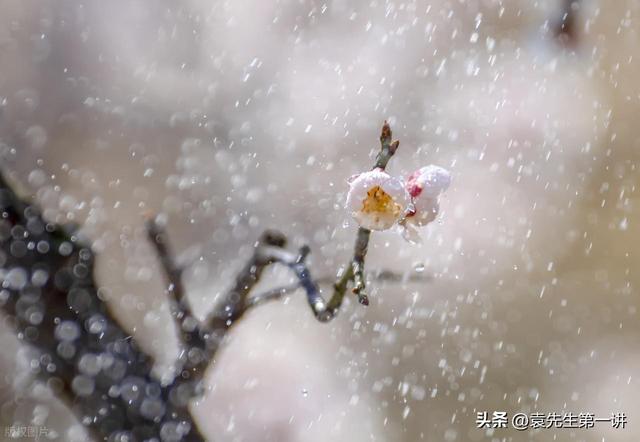 今日小雪，老人说最怕“小雪一日晴	”	，小雪天晴有啥预兆？