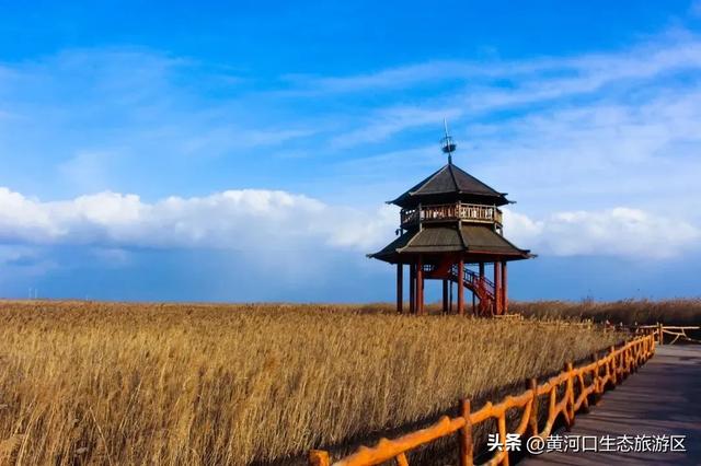 【黄河口生态旅游区】欢欢喜喜闹元宵 游玩指南来袭!