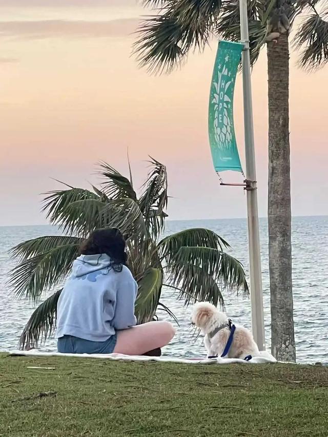 路上·布里斯班 ‖ 又出来赚小时来了