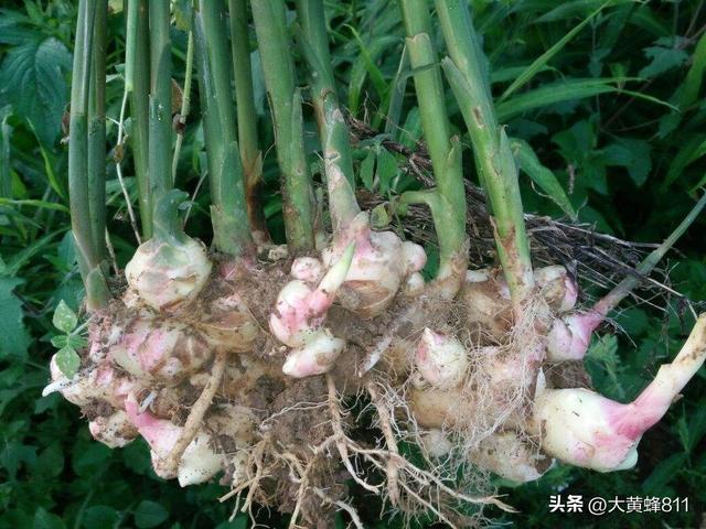 认识大美广东的每个县——第29波：连山壮族瑶族自治县