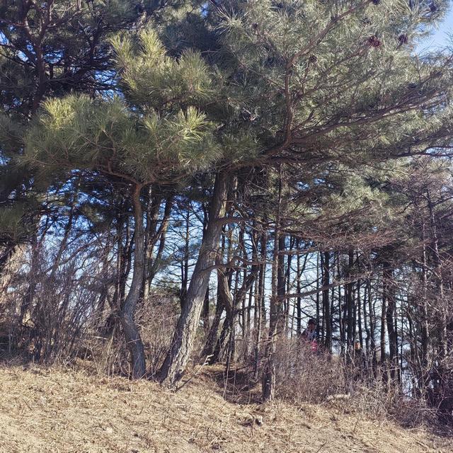 大觉寺凤凰岭北线徒步