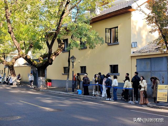 南京“丑萌”梧桐C位出道！颐和路半天游，把民国浪漫拍成表情包