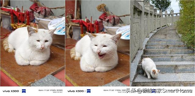 避开秋假人群，用vivo X300记录川西的小众美景