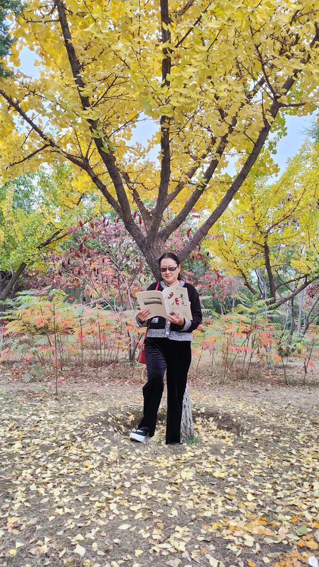 宣化万柳公园银杏黄来火炬红，战友军嫂游园观赏图片集