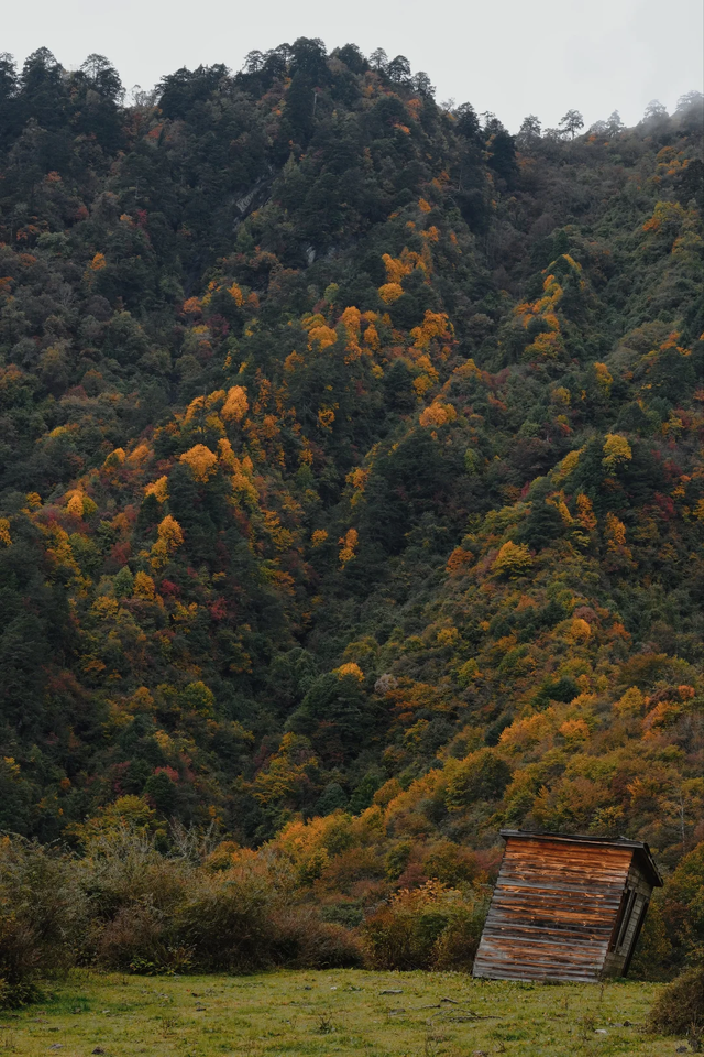 成都周边一日往返，6个小众不废腿的彩林秘境，0门票！