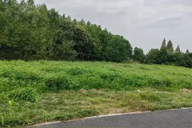 若是你在农村还有几亩地，要被买断使用权，每亩地给六万元，还…图片