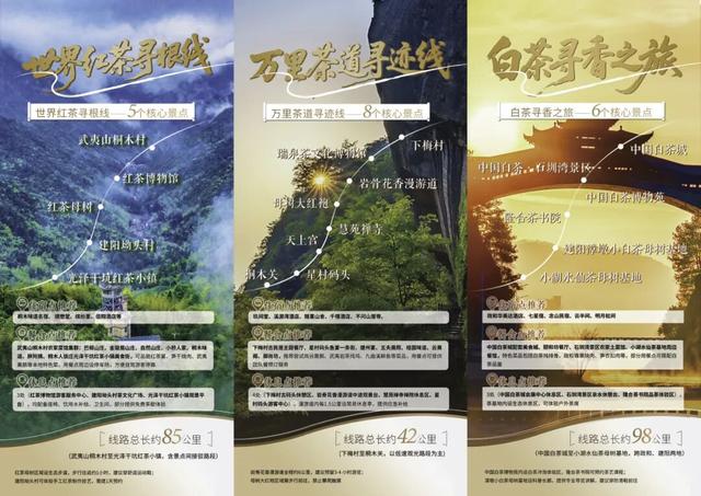 “趣武夷·茶生活”武夷山国家公园1号风景道茶文旅自驾游活动盛大启幕