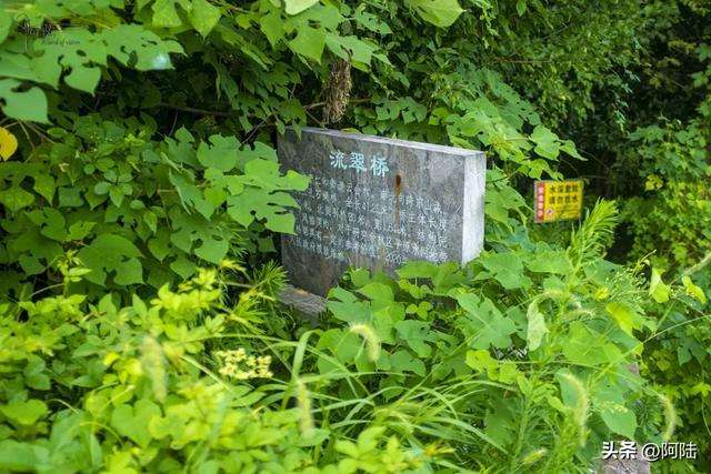 余杭仁和街道的水网稠密,其间还隐藏着一座见证过战火的清代古桥