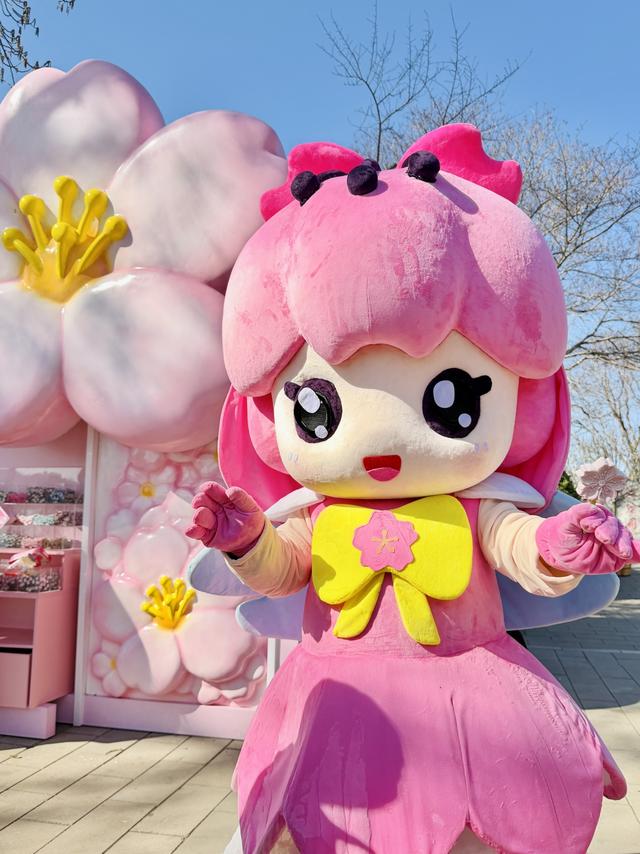 花开京城万物新 | 樱花盛开，京城春日顶流来袭