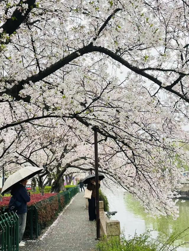 春假6天,不出门