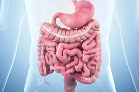 食物在这个时间段排出，暗示你的肠道状态超棒！快来自查图片