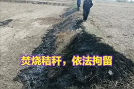 揭秘！从钓鱼到养猪，民间小违规与中储粮大混装，谁更应受罚？图片