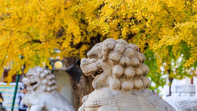 北京这几个小众赏秋地，让你私享整个秋天！