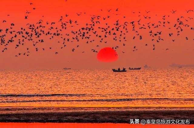 来秦皇岛赴一场美妙的「海上日出」之旅吧！附日出时刻表
