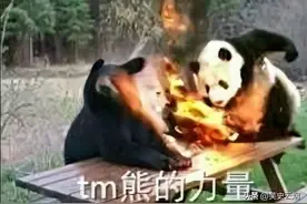 印度14年向中国申请租赁熊猫40次，被拒后，直接自己“生产”熊猫图片