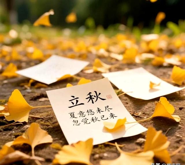 8月7日立秋，今年立秋不一般，有4个好消息，2个坏消息，可别不懂