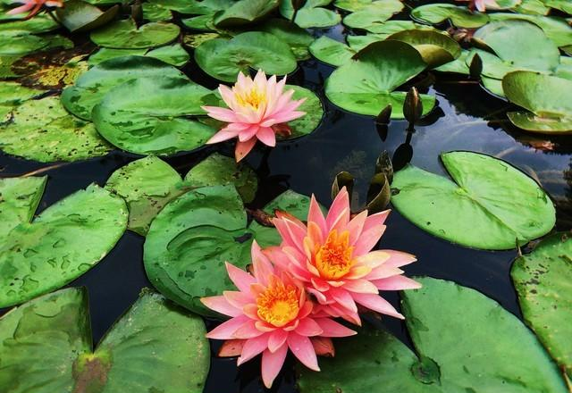 过了50岁，尽量不要让身边的亲人“借运”，避免让自己晚景凄凉