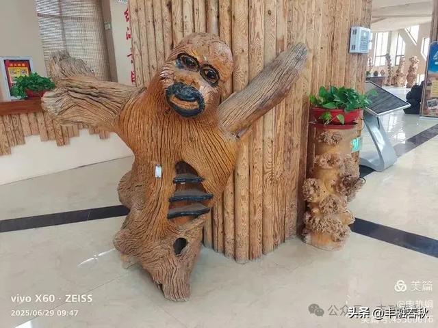 探秘新疆巴楚红海景区：自然与人文的交响｜ 申艳娟