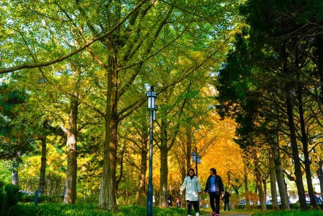 全龄友好，四季皆景！皇城根遗址公园焕新升级，超多美图→