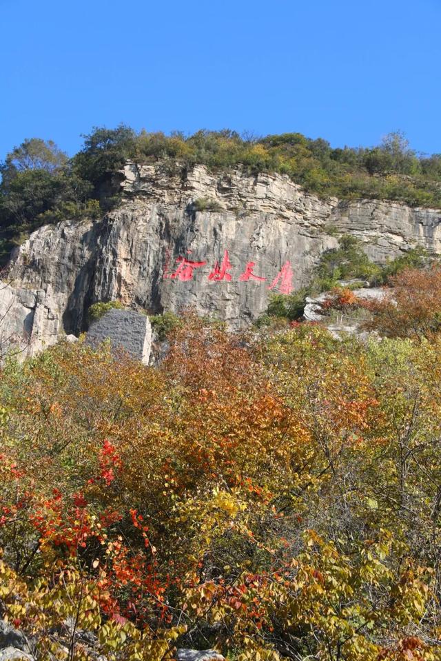 致敬时代记录者 ┃中国记者节熊耳山专属邀约