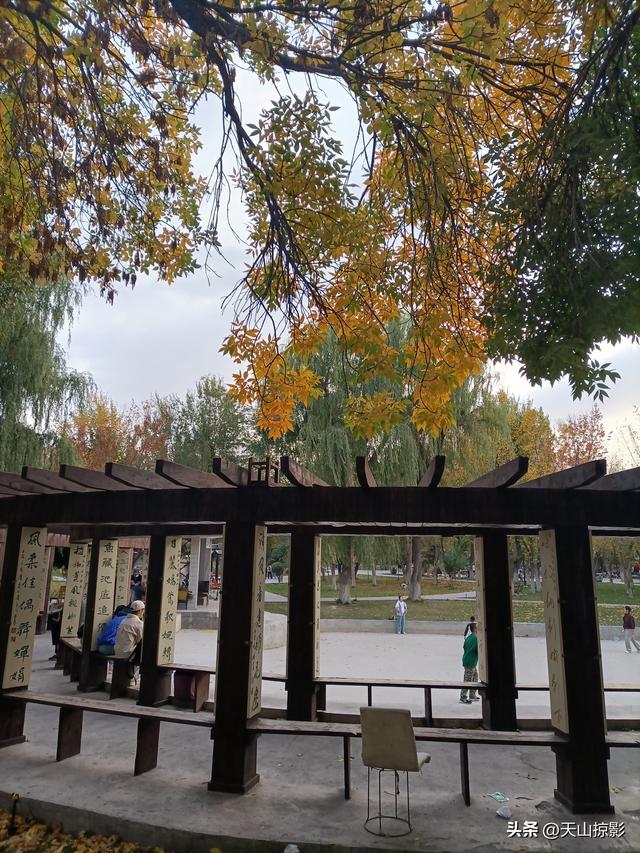踏秋