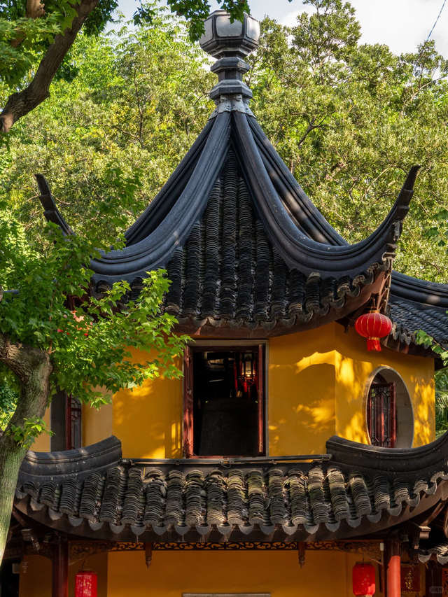 可当天往返！上海坐至苏州，最快30分钟直达！景美又好玩！