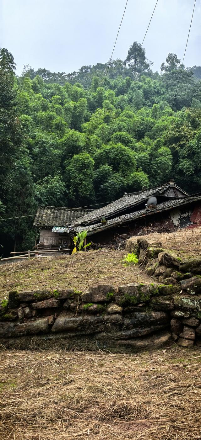 野棉花的几分侘寂