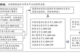 内脏脂肪组织与骨关节炎因果关联的分析图片