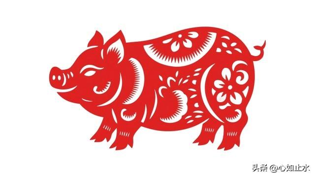 属猪的，2月初要“换林子”！不关钱的事，是人的事