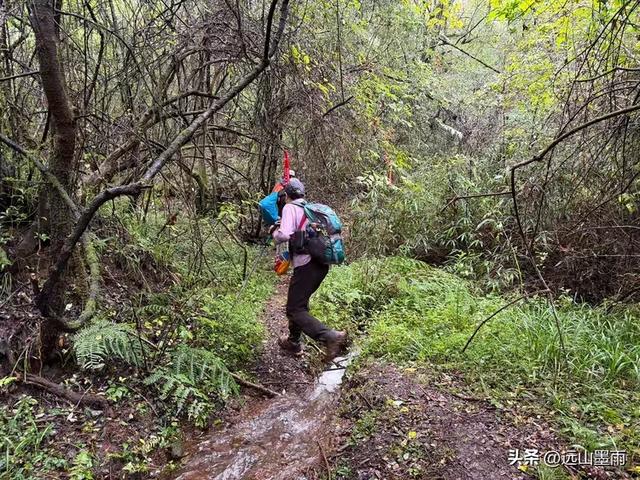 攀登昆明十峰之宜良老爷山，经历密林大雨考验，惊喜交加，难忘