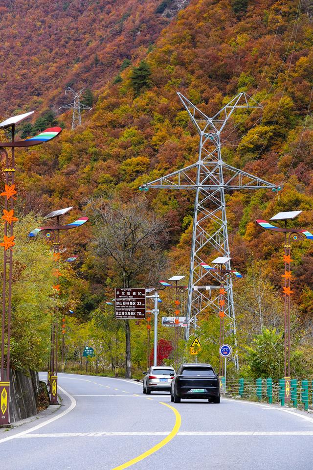 光影札记 | 黑水彩林：八十里画廊的彩林，藏着川西最绚烂的秋