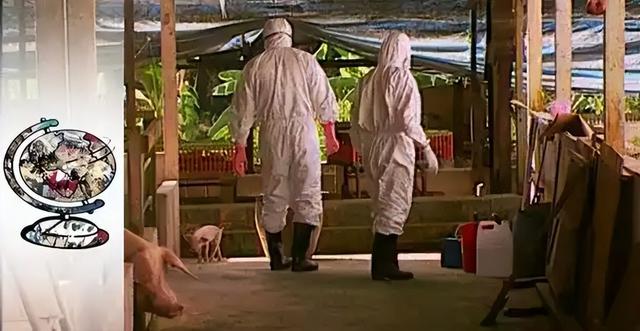 “尼帕病毒”来势汹汹，建议：每家备好几样东西，关键时刻能救命