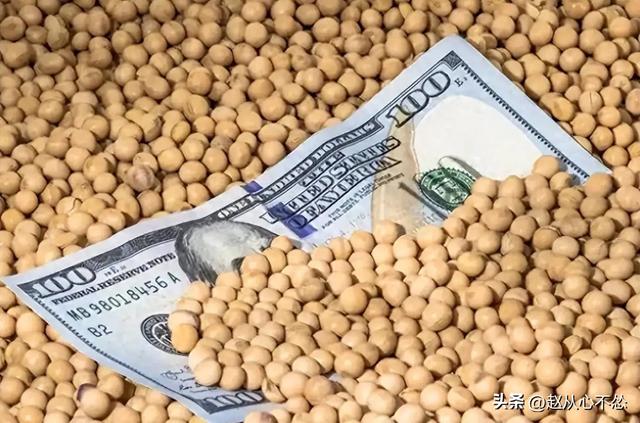 贪心砸了饭碗？巴西硬抬价，中国 130 万吨大豆瞬间流向阿根廷！