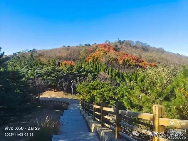 青岛即墨马山寻趣：一座地质公园的秋日私语｜申艳娟