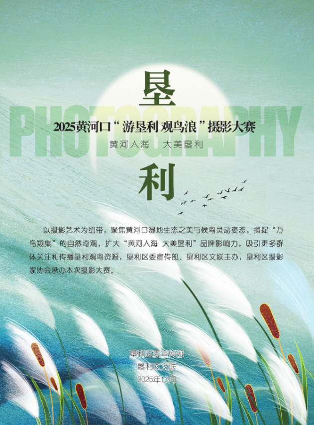 黄河入海 大美垦利 | 东营垦利观鸟贴心攻略