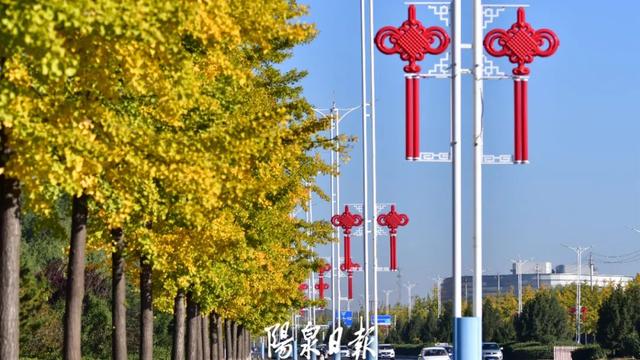 “刷爆”山西人朋友圈的金色，谁看谁心动