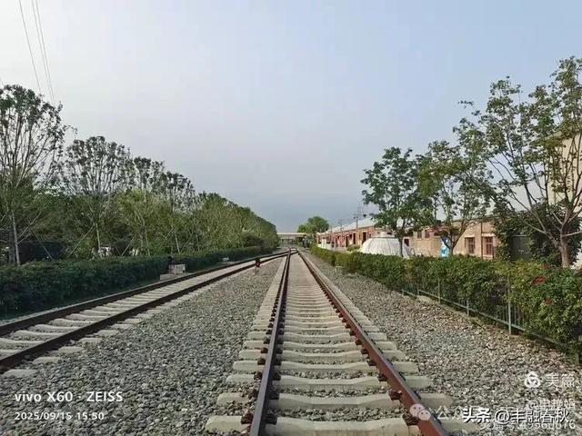 漫步西港花园：在山海之间遇见旧时光｜申艳娟