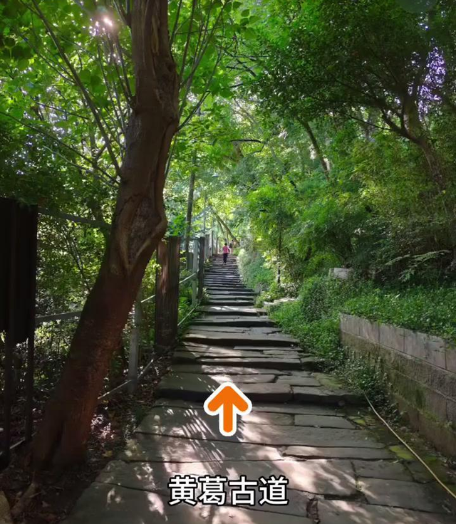 重庆南山有一座荒废庄院，曾是停放棺材的地方，胆小的人不敢靠近