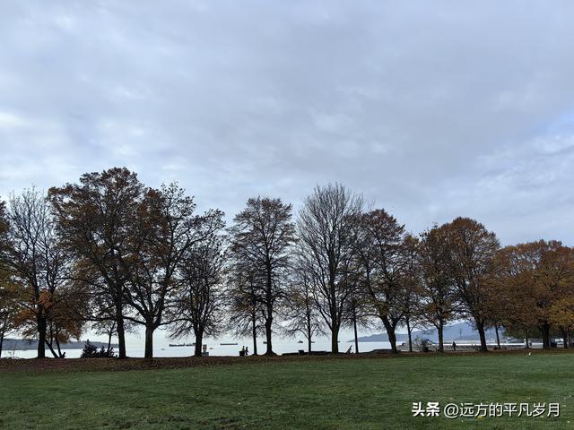 温哥华游记（一）